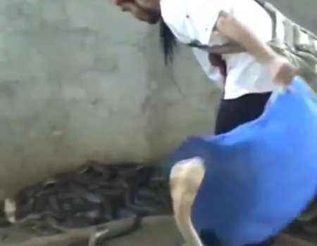 Virales Video „Schlange zähmen leicht gemacht“