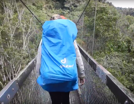 Virales Video „Brücke in Neuseeland schwankt und wirft Touristen ab“