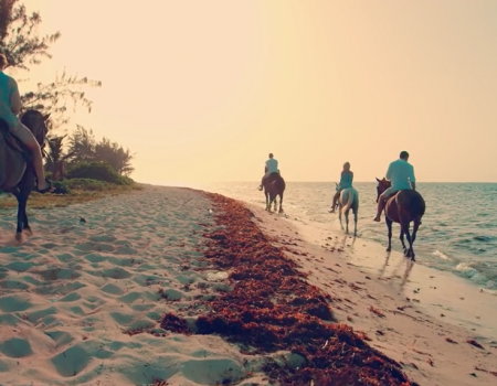 Virales Video „Urlaub auf den Cayman Islands“