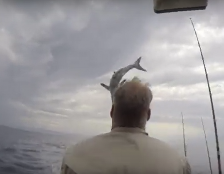 Virales Video „Fischtanz beim Angeln erhält hunderttausende Klicks“