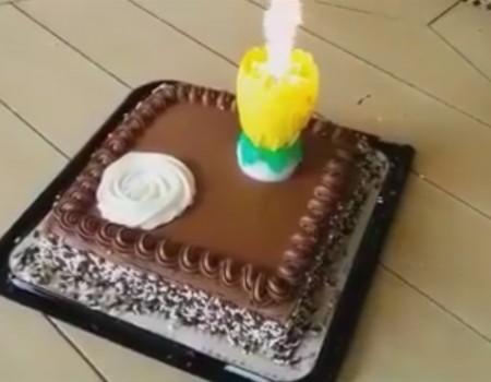 Virales Video „Der ultimative Geburtstagskuchen“