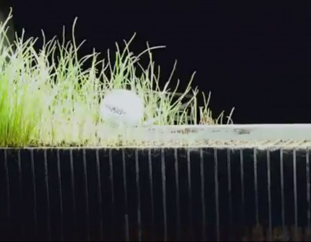 Virales Video „Der längste Minigolf-Aufschlag der Welt dauerte über 6 Wochen“
