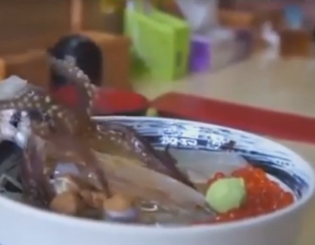 Virales Video „Einen lebenden Octopus in Japan essen“