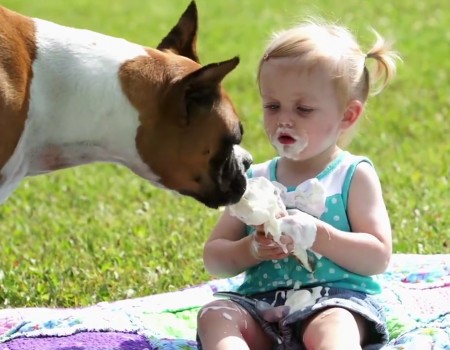 Virales Video „Hund isst Eis von diesem Kind und wird über 792.000 Mal gesehen“