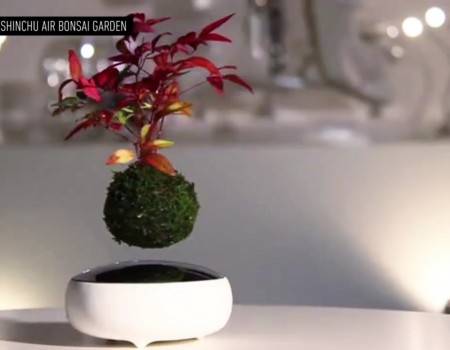Virales Video „Air Bonsai“ erreicht mehr als 0,6 Millionen Klicks