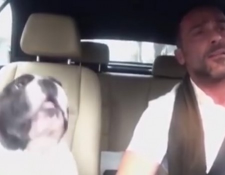 Virales Video „Duett mit einem Hund“ erreicht mehr als 1,1 Millionen Klicks