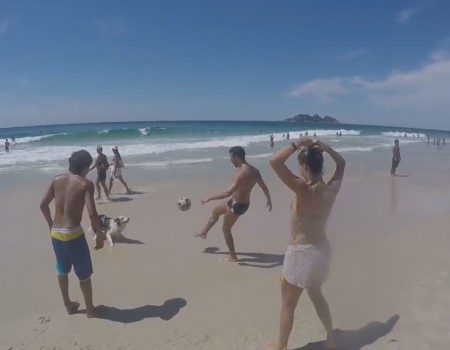 Virales Video „Hund spielt mit dem Ball am Strand“ erreicht mehr als 2,9 Millionen Klicks