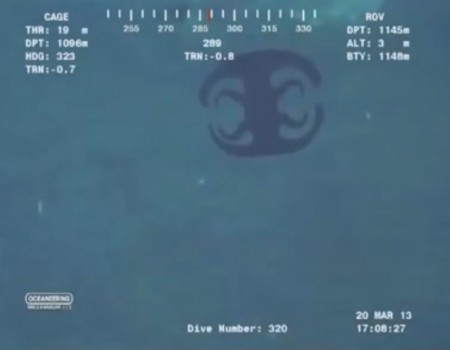Virales Video „Aliens bei Meeresaufnahmen entdeckt?“