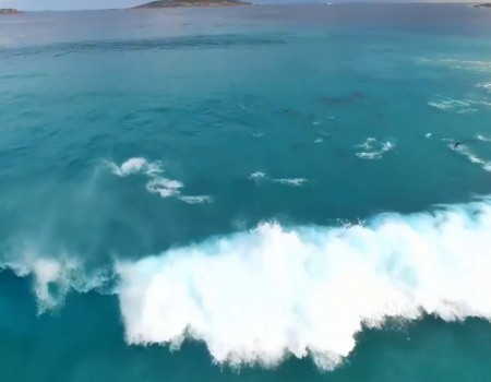 Virales Video „Delfine surfen vor australischer Küste“