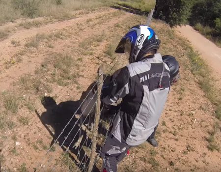 Virales Video „Oh Deer! – Reh wird von zwei Motorradfahrern gerettet“
