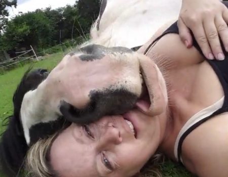 Virales Video „Schloipf mit einer Kuh“