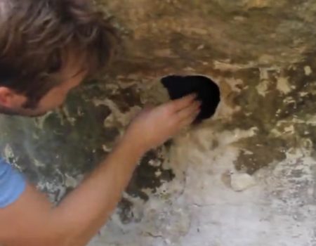 Virales Video „Spinnenhöhle unter die Lupe genommen“