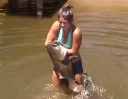 Virales Video „Mädchen fängt großen Katzenfisch mit bloßer Hand und spießt ihn mit dem Arm auf“