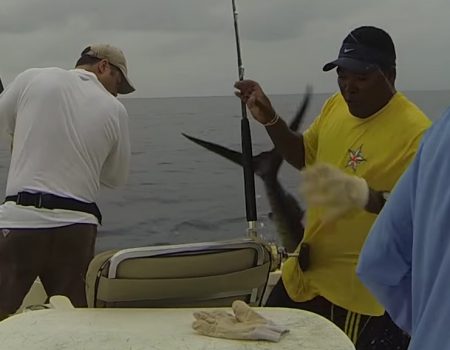 Virales Video „Segelfisch besucht drei Fischer bei ihrem Angelausflug und springt ins Boot“