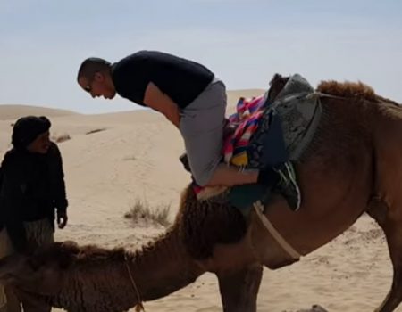 Virales Video „Mit dem Kopf voraus von einem Kamel absteigen kann in vielen Fällen auch schmerzhaft werden“
