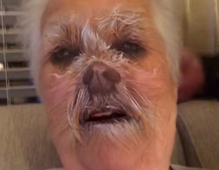 Virales Video „Snapchat-Filter Hundegesicht passt bei dieser älteren Dame wie die Faust aufs Auge“