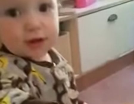 Virales Video „Dieses schlaue Baby weiß wo es sich in der Nahrungskette befindet“