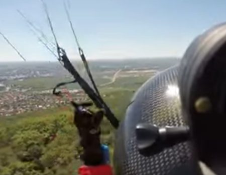 Virales Video „Paraglider in Zobor verliert Kontrolle und landet relativ unsanft in einem Baum“