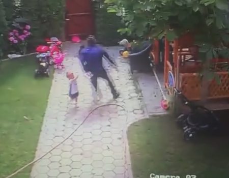 Virales Video „Die heldenhafte Reaktion eines Vaters, wenn die zweijährige Tochter von einem Hund attackiert wird“