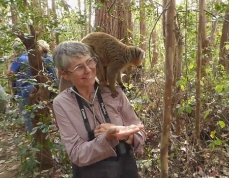 Virales Video „Fütterung eines Lemur auf Lemur-Island in Madagaskar in der Nähe von Antsapanana“