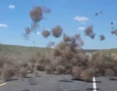 Virales Video „Teuflisches Staubaufkommen auf dem Highway 397 in der Nähe von Kennewick bei Washington“