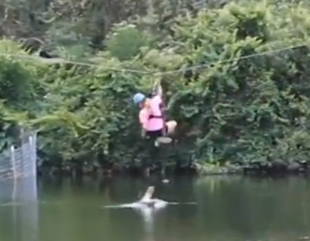 Virales Video „In Florida übers Wasser gleiten und am besten beide Beine anziehen“