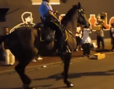 Virales Video „Polizeipferd tanzt in New Orleans zu einem Beat und hat mit ein paar Musikern sichtlich seinen Spaß auf der Straße“