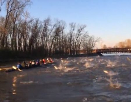 Virales Video „Ruderboot wird während eines Trainings von hunderten asiatischen Karpfen in der Nähe von Washington angegriffen“