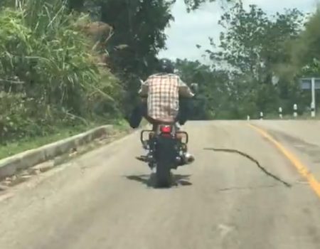 Virales Video „Wütende Schlange aus Thailand packt ihre Kung Fu-Künste aus und greift Motorradfahrer auf der Straße an“