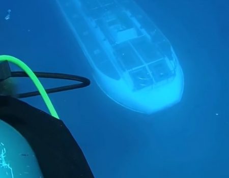 Virales Video „U-Boot gleitet an der Küste von Hawaii unter einem Taucher vorbei und sorgt auf Reddit weltweit für Furore“