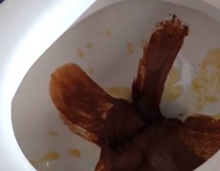 Virales Video „Ein Dessert aus einer Toilettenschüssel sorgt in einem Restaurant in Holon, Israel für gute Laune bei den Gästen“