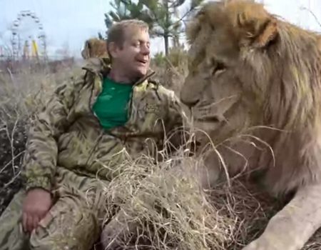 Virales Video „In einem Tierpark namens “Park of Lions Taigan” kann man mit einem echten Löwen eine Runde knuddeln“