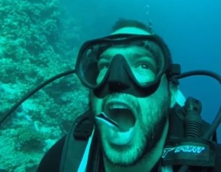 Virales Video „Taucher lässt seine Zähne an einer Bucht in Dahab, Ägypten vor der Halbinsel Sinai Peninsula von einem kleinen Fisch reinigen“