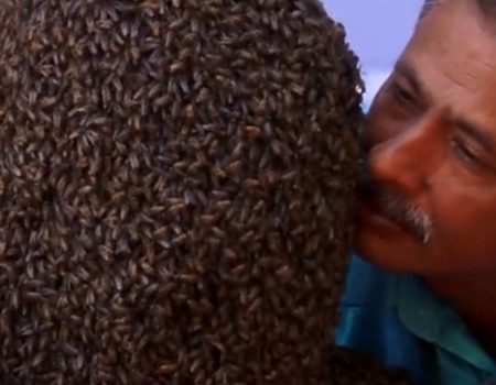 Virales Video „22-jähriger Mann aus Indien bricht Weltrekord im Tragen von 60.000 Bienen in seinem Gesicht für 4 Stunden und 10 Minuten“