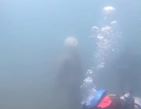 Virales Video „Taucher finden im berüchtigten Lake Pleasant in Phoenix, Arizona ein Fake-Jason Voorhees unter Wasser“