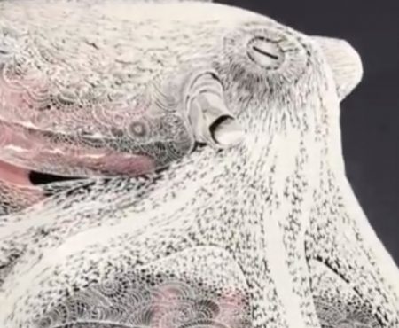 Virales Video „Künstler Masayo Fukuda aus Chiba Prefecture in Japan bastelt in Kleinstarbeit einen detaillierten Kraken aus Papier“
