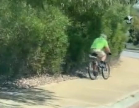 Virales Video „Vogel verfolgt Fahrradfahrer auf den Straßen von Kwinana, Perth, Australien und verärgert diesen sichtlich“