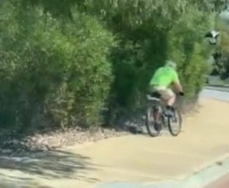 Virales Video „Vogel verfolgt Fahrradfahrer auf den Straßen von Kwinana, Perth, Australien und verärgert diesen sichtlich“